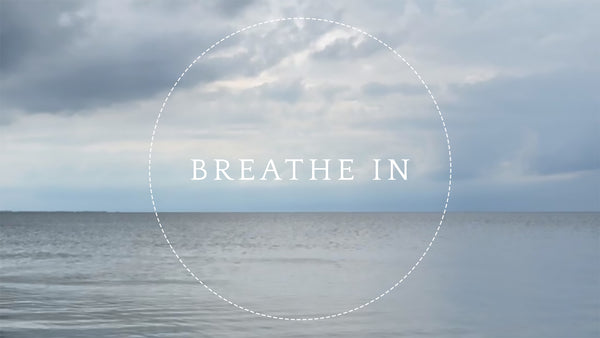 New VERDEN Breathwork App