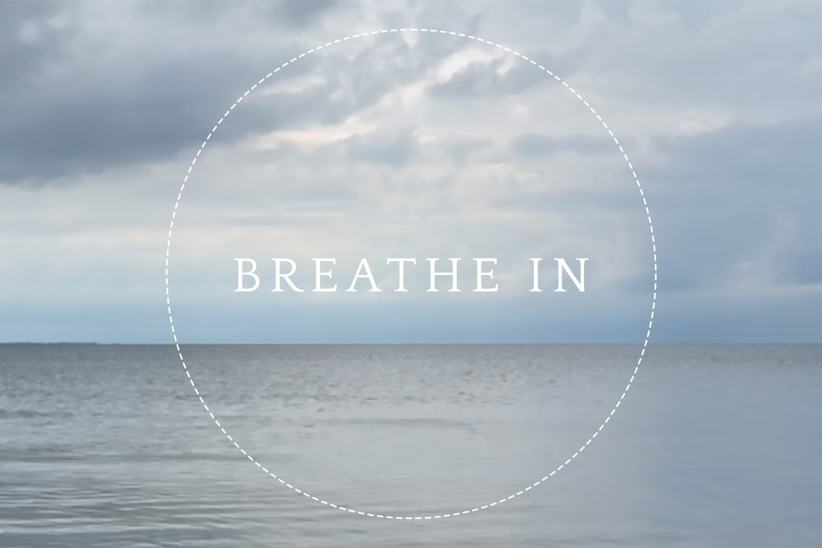 New VERDEN Breathwork App – Verden.World